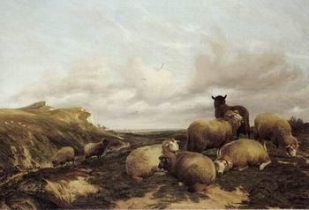 unknow artist Sheep 159